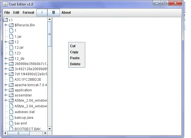 Java Code For Notepad In Swing