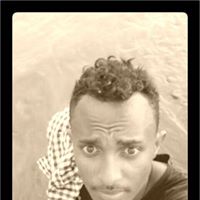 Profile picture for user Tesfu Amsale