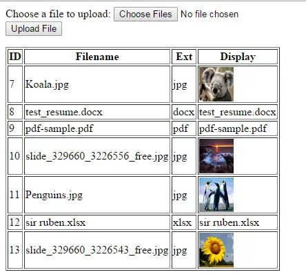 ss - PHP Upload Different File Types Tutorial Source Code