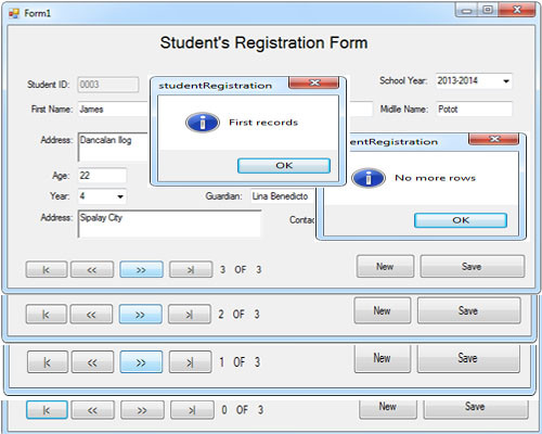 literature review on online vehicle registration system