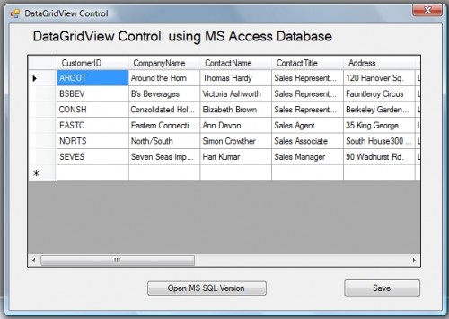 How to Bind Data to the Windows Forms Datagridview Control