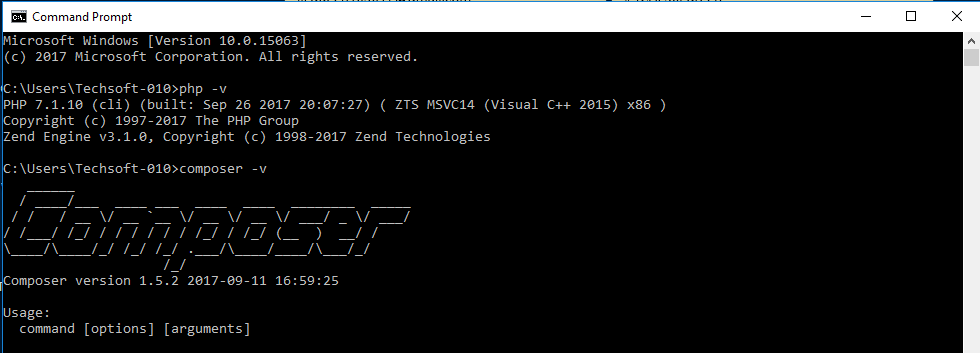 phpcomposerversion