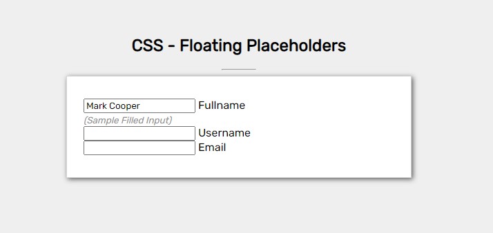 Floating Input Placeholder or Label using CSS