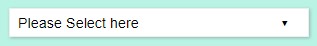 Custom Select Box using CSS and JS