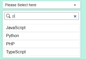 Custom Select Box using CSS and JS