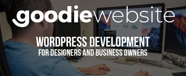 Affordable design to code web development service
