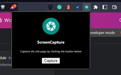 ScreenCapture Extension