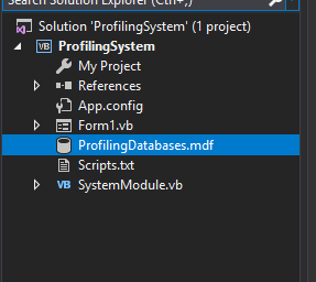 Basic CRUD Operation in Profiling System