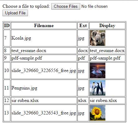 Sql program