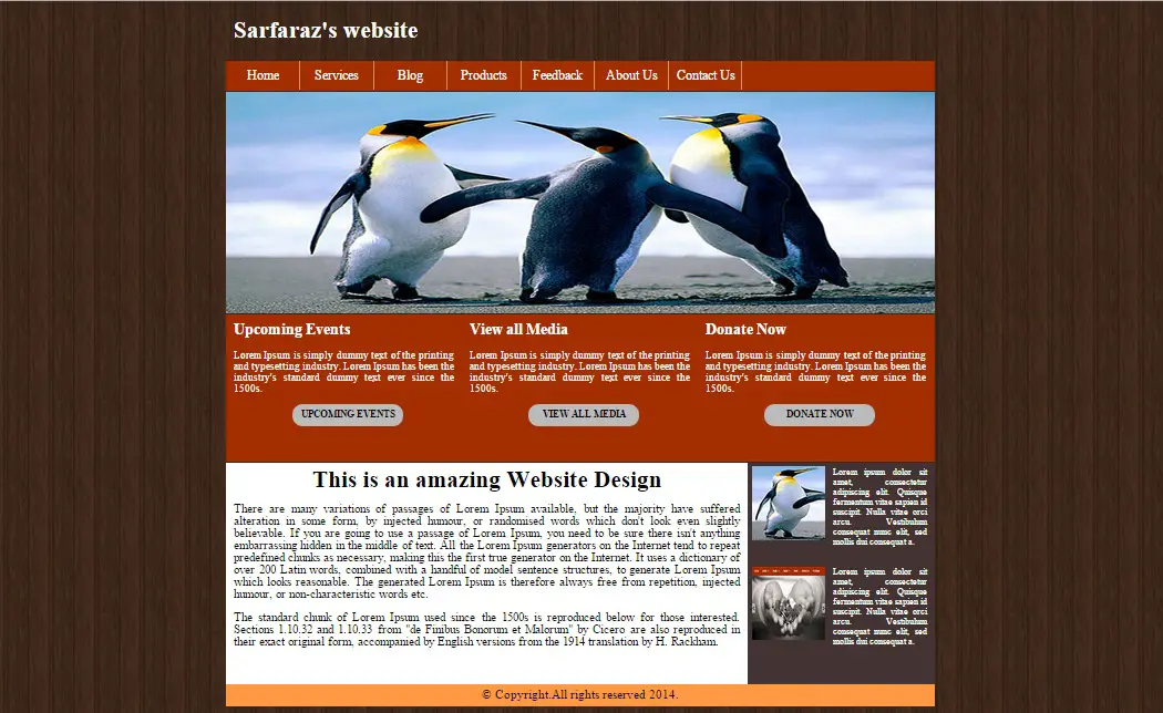 Sample Website Design Using Html And Css - Reverasite
