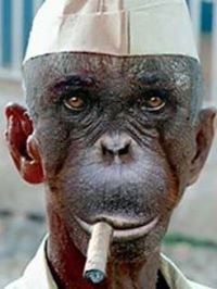 Profile picture for user tmohlatlole