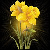 Profile picture for user Amandeep Kaur