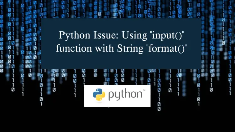 Python Issue Using input() function with String format()