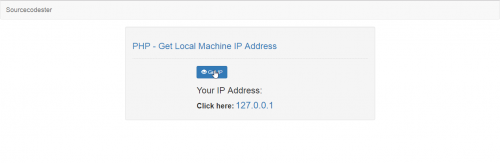 php get public ip