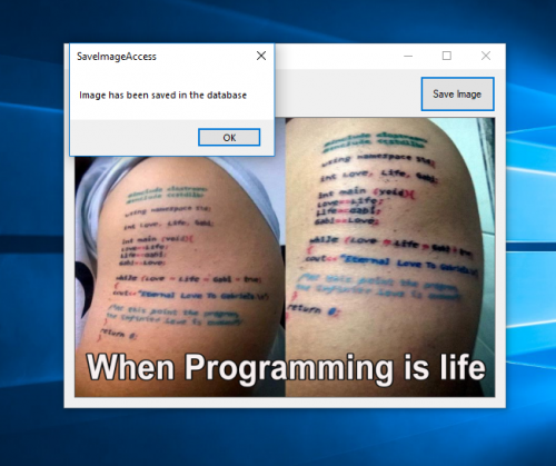 save wideimage to database save wideimage to database